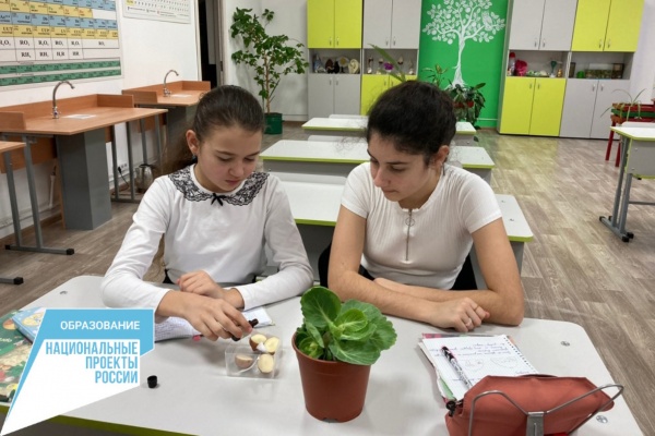 В рамках Национального проекта «Образование» в 12 школах Ленинского района созданы и функционируют Центры образования «Точка роста»