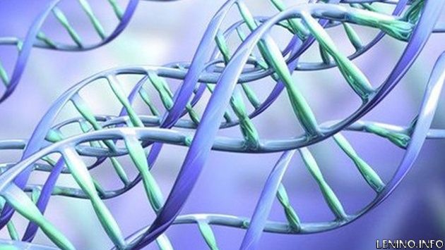 Ученые обнаружили ген бессмертия