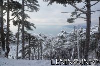 Новый год в Крыму будет без снега