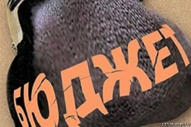 Приняли бюджет поселка Ленино