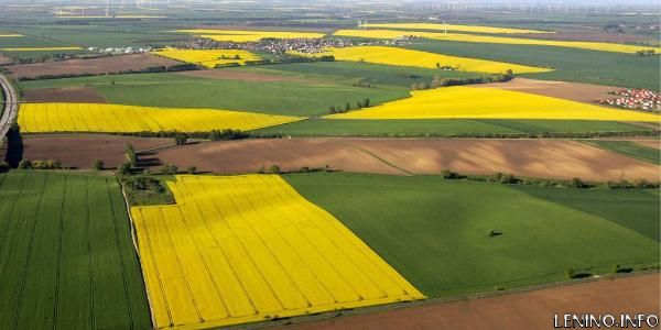 Крымчане получат первоочередное право на выкуп земельных участков