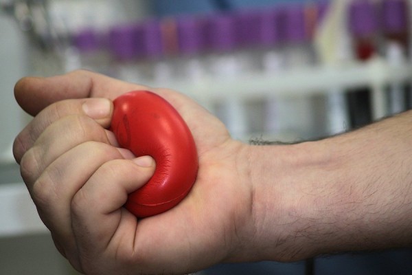 Читатели спрашивают: Как оформить «донорскую» выплату?