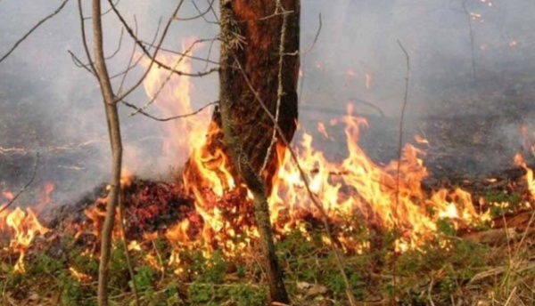 В связи с наступлением пожароопасного периода в Ленинском районе