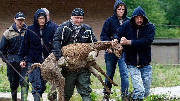 Пражский зоопарк в опасности