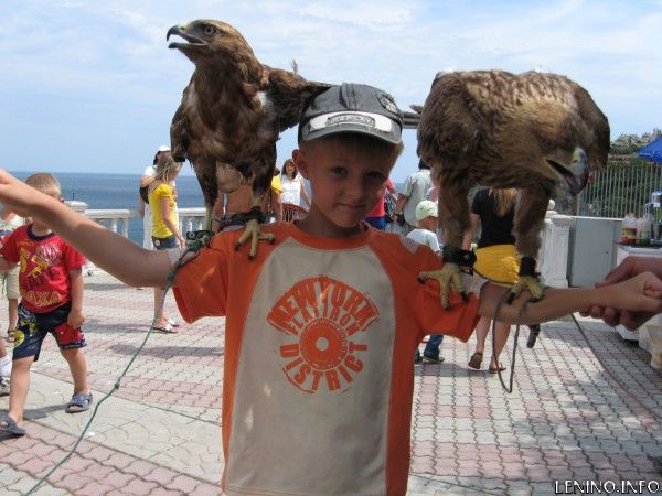 По окончанию курортного сезона братьев наших меньших просто выбрасывают