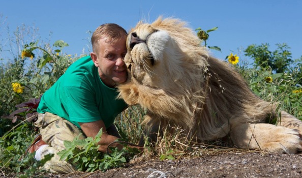 Судьба "Тайгана" и "Сказки" решится в течение трех месяцев