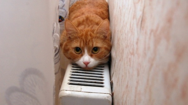 20 и 21 февраля в Крым придет похолодание