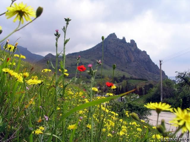 Чем порадует нас погода на этой неделе