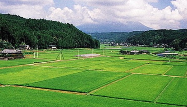 В Крыму продлили сроки перерегистрации земельных паев