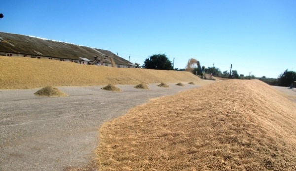 Заместитель Главы Администрации проверил ход уборочной кампании в ООО «СП «Золотой колос»