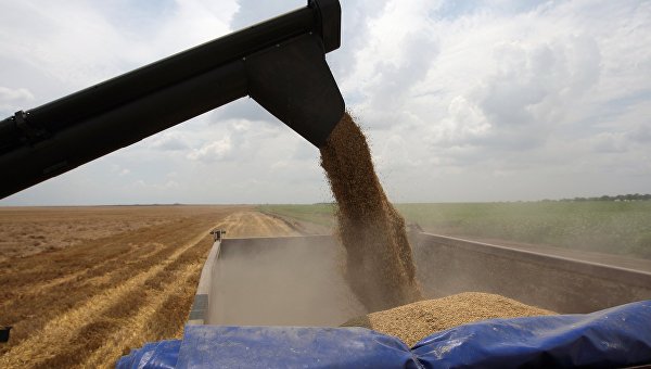 Первый миллион тонн зерна намолотили в Крыму