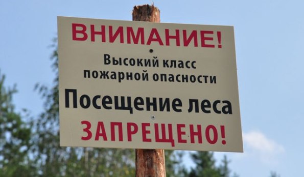 Крымские леса закрыли для посещения до сентября