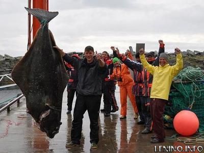 Пойманный немцем палтус оказался тяжелее гориллы