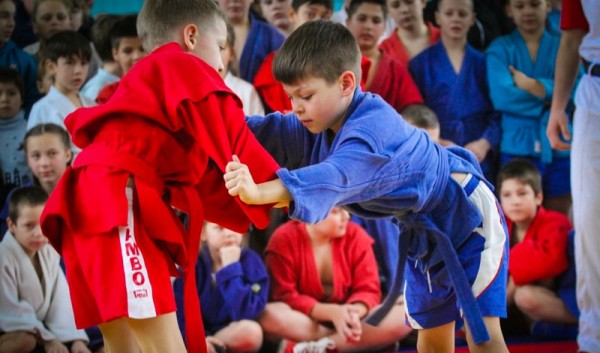 В Приозерном состоялся открытый районный турнир по самбо