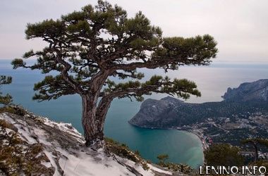 В Крыму обещают снег и заморозки