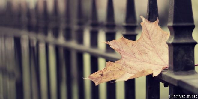 Погода в Украине на выходные