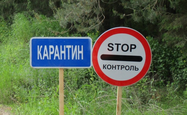 В Крыму перестанут пускать на кладбища на время пандемии по коронавирусу