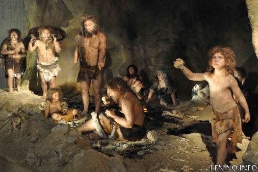 В Крыму нашли древние останки неандертальца