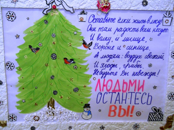Берегите Ели Фото