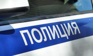 Меньше суток понадобилось ленинским полицейским, чтобы найти потерявшуюся девочку
