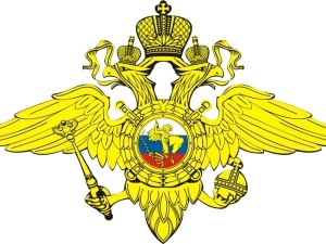 Перечне государственных услуг, предоставляемых группой лицензионо-разрешительной работы ОМВД России по Ленинскому району