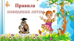 Безопасность детей в летний период