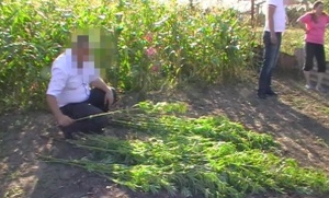 ​Полицейскими Ленинского района пресечено  хранение наркотических средств