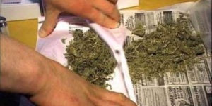 Ленинскими полицейскими пресечено очередное хранение наркотиков в крупном размере