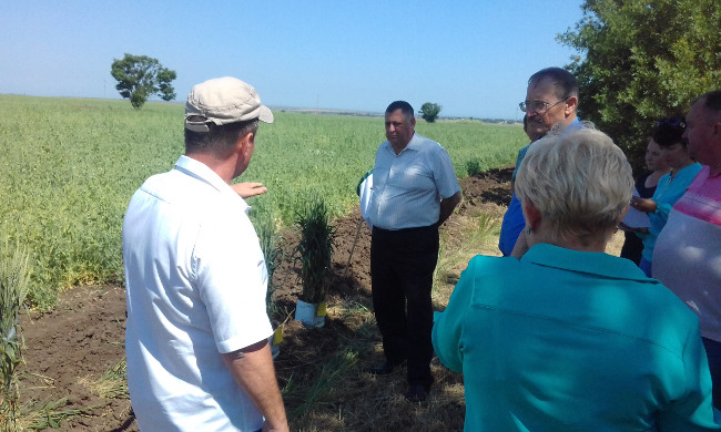 В Администрации Ленинского района прошло районное предуборочное совещание «День поля»