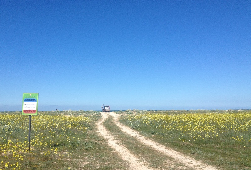Арабатская стрелка Ленинский район