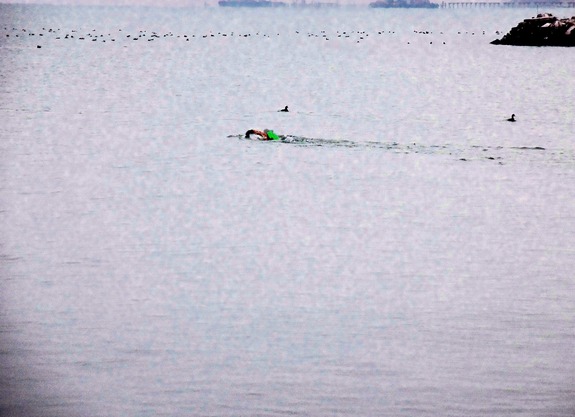  Михаил Меньшиков