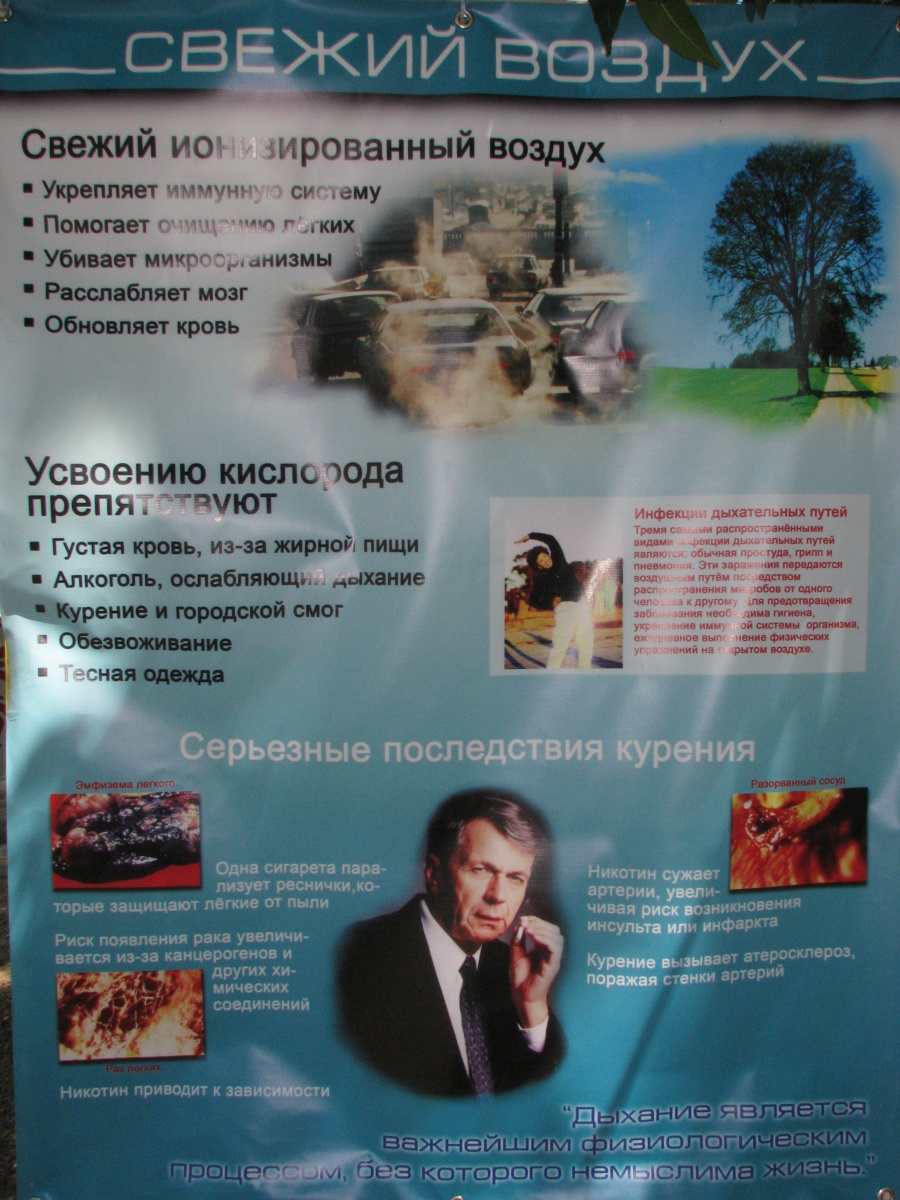 Как прошла выставка здоровья в пгт. Ленино