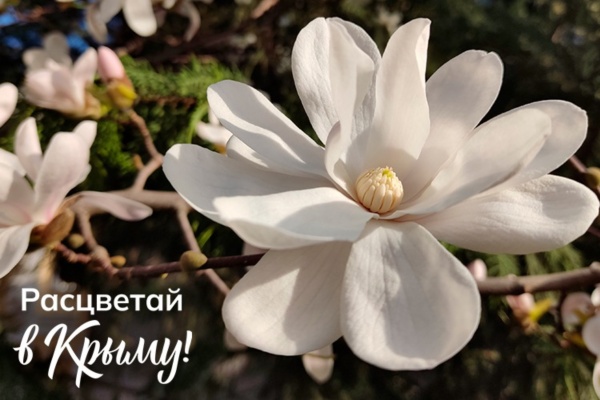 Минкурортов РК приглашает тревел-блогеров в тур по Крыму