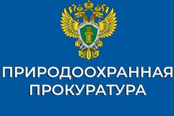По иску прокурора разработана природоохранная документация