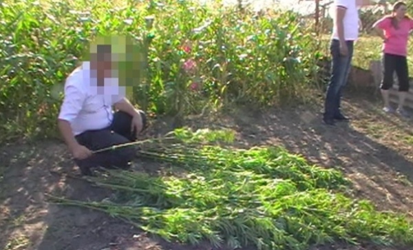 ​Полицейскими Ленинского района пресечено  хранение наркотических средств