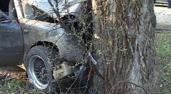 В Ленинском районе женщина въехала в дерево и травмировала двоих детей