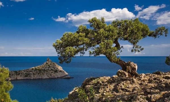 Европейские туристические ассоциации признали Крым частью России