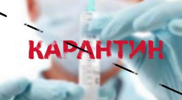 Аксёнов ввёл карантин по бешенству в селе Семёновка Ленинского района