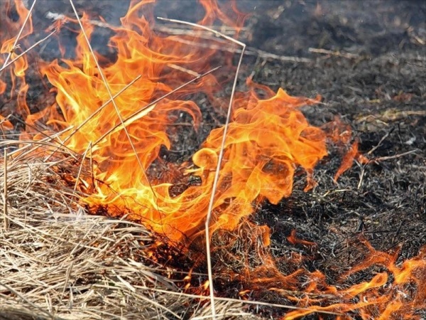 Начало пожароопасного сезона 2019 года