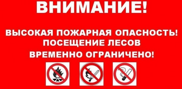 Внимание!!! Ограничено пребывание граждан в лесах