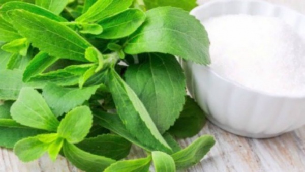 В Крыму производят натуральный заменитель сахара