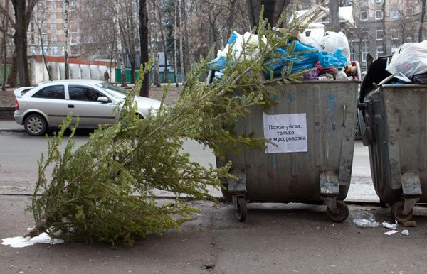 Как позаботиться об экологии после Нового года?