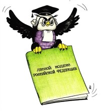 О соблюдении лесного законодательства