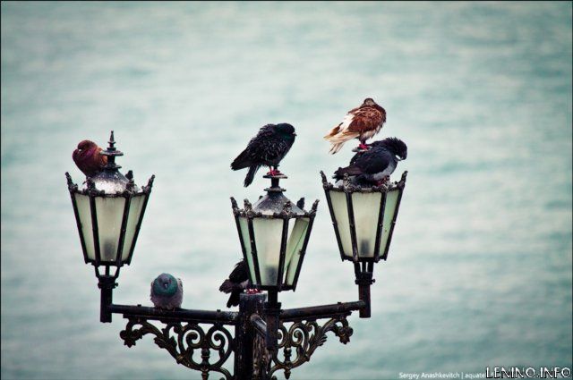 Погода в Крыму на 15 декабря