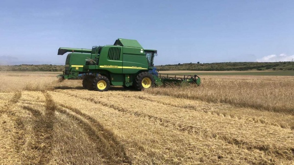 Аграрии Ленинского района приступили к уборке урожая
