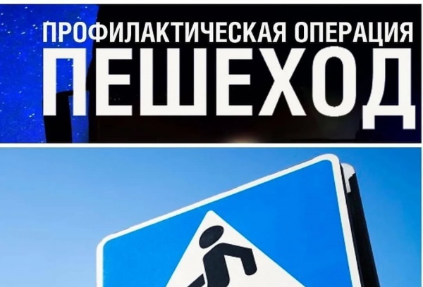 Госавтоинспекция Крыма проводит комплекс мероприятий  «Пешеход. Пешеходный переход!»