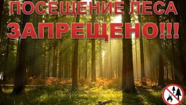 «Внимание!!! Ограничено пребывание граждан в лесах»