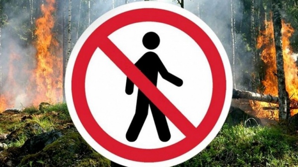 «Внимание!!! Ограничено пребывание граждан в лесах»