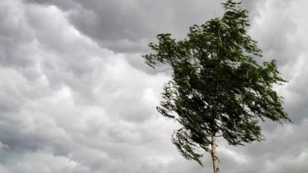 11 марта, ночью и утром 12 марта в Крыму ожидаются дожди, местами сильные