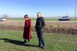 Состояние посевов озимых зерновых культур - залог урожая 2024 года